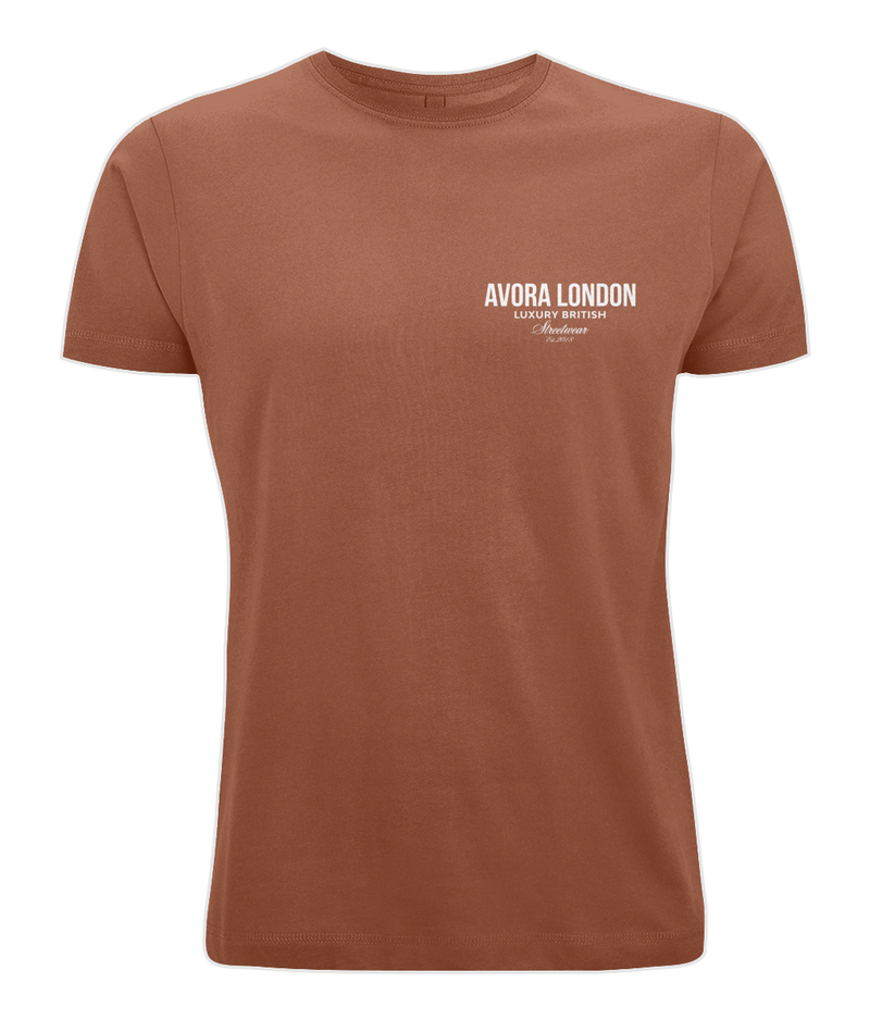 Avora London Statement Back Print Oversize T-Shirt in Rust